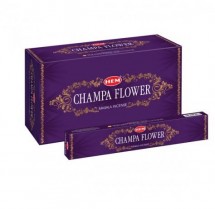 Champa Flower - 15 (Dozen)