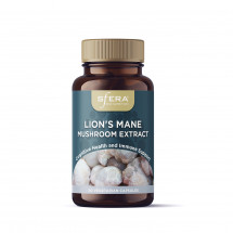 Lion's Mane Mushroom Extract - 60s