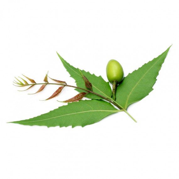 Neem Powder - 100g