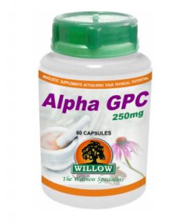 Alpha GPC 250mg - 60 Capsules