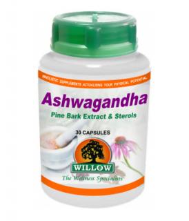 Ashwagandha / Pine Bark & Sterols - 30 Capsules