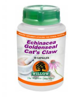 Echinacea Golden Seal Cat's Claw - 30 Capsules