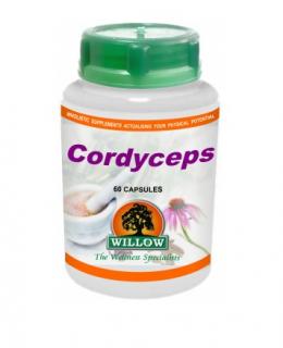 Cordyceps - 60 Capsules