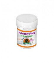 Friendly Flora 12 Strain 5 Billion - 10 Capsules