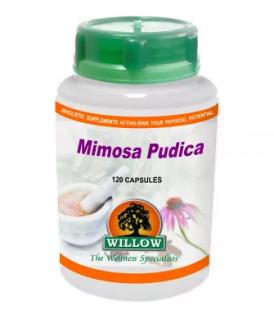 Mimosa Pudica - 120 Capsules