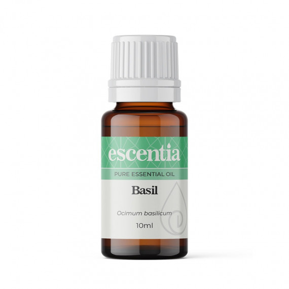 Basil essential oil - 10ml