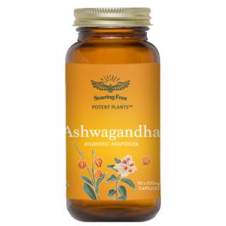 Ashwagandha Capsules - 90 caps