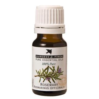 Rosemary Oil 10ml