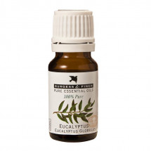 Eucalyptus Oil 10ml