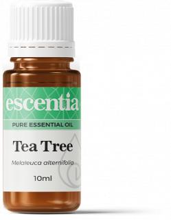 Tea Tree Essential Oil 10ml