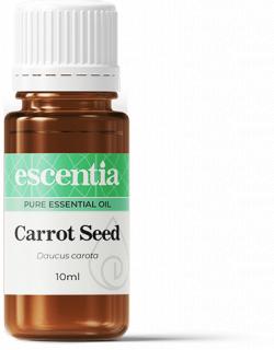 Carrot Seed Essential Oil 10ml